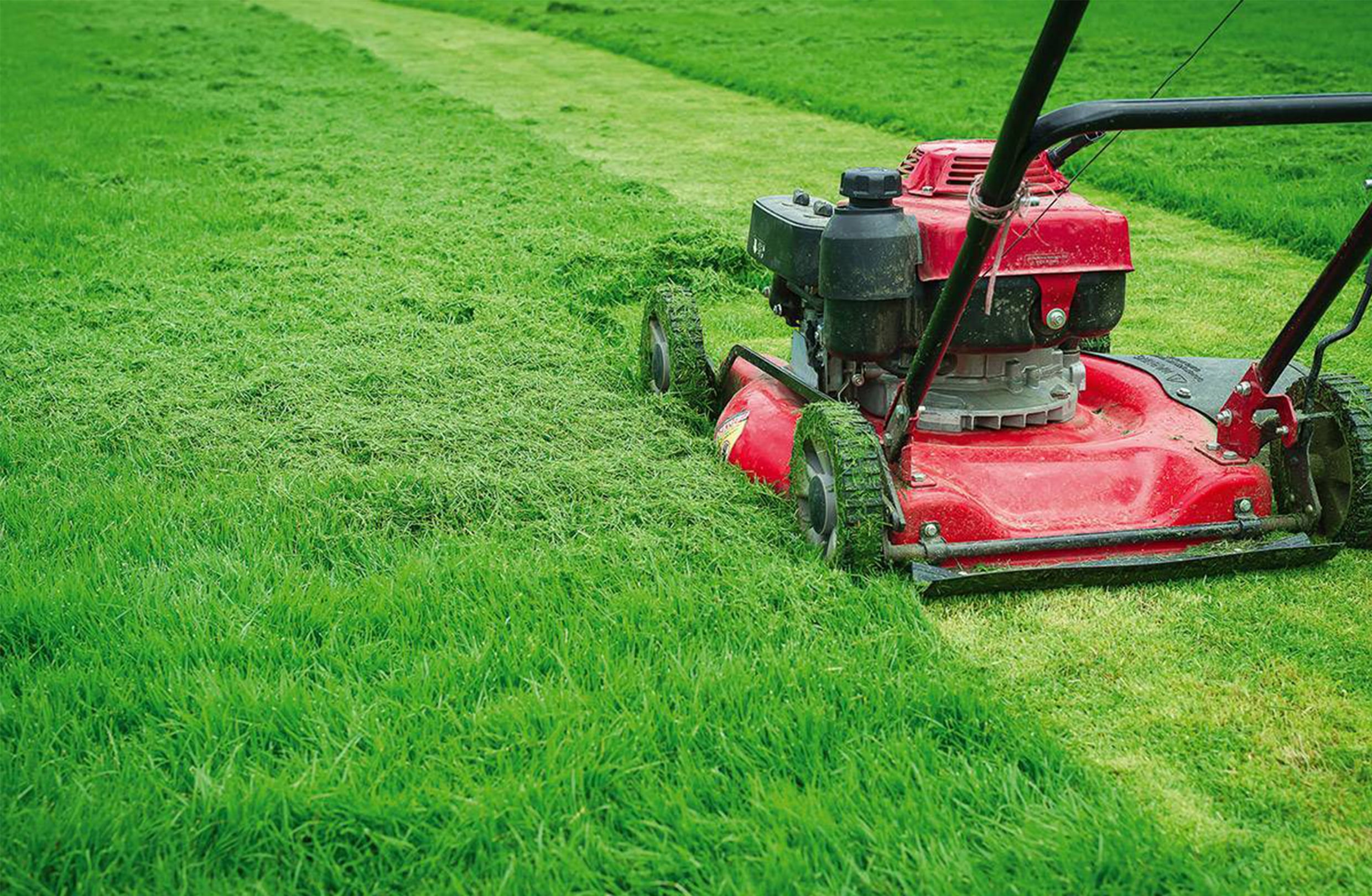 Red lawn mower